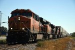 Intermodal cruises west